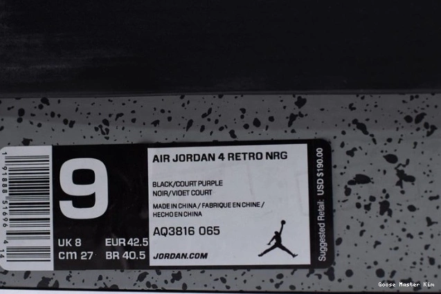 Retro Raptors